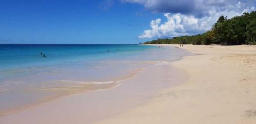 Plaze-wybrzeza-poludniowo-karaibskiego00001