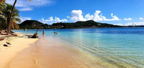 Plaze-wybrzeza-poludniowo-karaibskiego00018